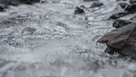 Capa-De-Hielo-Cristalino-Sobre-Un-Río-Que-Fluye,-Un-Sereno-Paisaje-Invernal