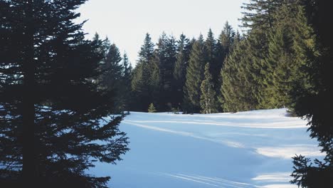 Ruhiges-Winterwunderland-In-Den-Bergen