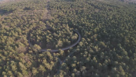 Endless-forest-landscape-with-round-ride-track,-aerial-drone-view