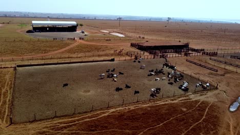 Rinderfarm,-Stall-Zum-Schutz-Der-Tiere-Vor-Den-Elementen-Und-Pferche-Für-Die-Sicherheit