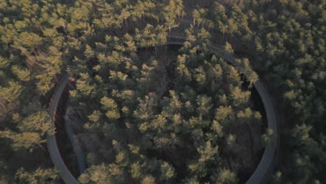 Ruta-De-Senderismo-Circular-Para-Ver-Las-Copas-De-Los-árboles-De-La-Zona-Boscosa,-Vista-Aérea