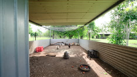 Large-corrugated-metal-chicken-chook-shed-pen-dirt-ground-and-tropical-shadow-on-hobby-farm