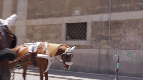 Primer-Plano-De-Caballos-En-El-Centro-De-La-Ciudad-De-Palermo-Italia