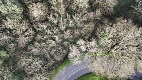 Guernsey-Vals-De-Terres-Ein-Flug-Auf-Der-Wunderschönen-Waldstraße-Von-St.-Martins-Nach-St.-Peter-Port,-Berühmt-Für-Bergauffahrten-An-Hellen-Wintertagen,-Endet-In-Havelet-Bay