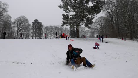 Personas-Que-Se-Deleitan-Con-Actividades-De-Nieve-En-El-Parque-Woluwe-En-Bruselas,-Bélgica---Toma-Panorámica-De-Timelapse