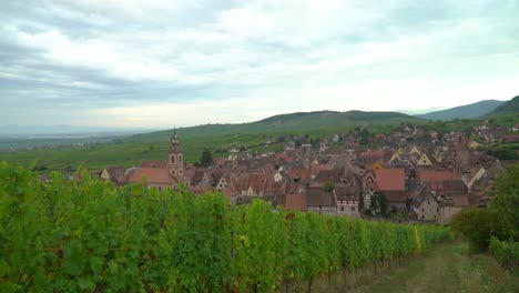 Essential-of-the-wine-route,-Riquewihr-cultivates-vines-on-the-heavy-soils-of-slopes-well-sheltered-from-the-North-wind