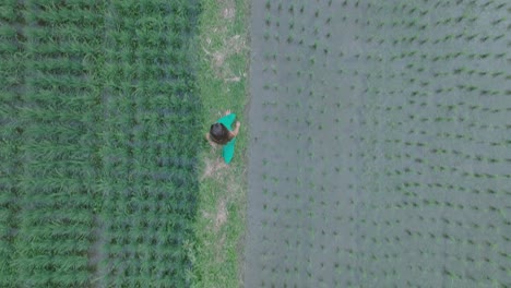 Toma-De-Arriba-Hacia-Abajo-De-Una-Mujer-Atractiva-Vestida-De-Verde-Caminando-Por-Arrozales-En-Ubud,-Bali,-Indonesia