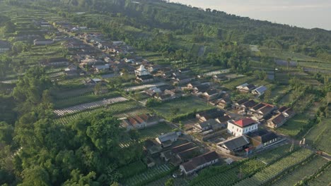 Orbit-drone-shot-of-Stabelan-Village-surrounded-by-green-vegetable-plantation