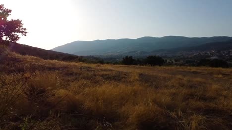 Toma-Aérea-De-Hierba-Alta-Y-Amarilla-De-Otoño-En-Un-Primer-Plano-De-Campo,-Material-De-Archivo