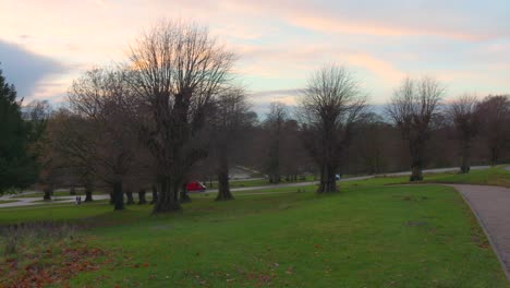 Caminando-Entre-Los-árboles-Y-El-Césped-Verde-En-Lyme-Park-En-Disley,-Cheshire