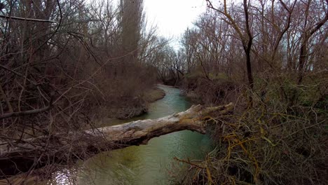 Tauchen-Sie-Ein-In-Den-Zauber-Des-Grünen-Flusses-Bei-Einer-Einzigartigen-Wasserüberquerung-Inmitten-Malerischer-Natur