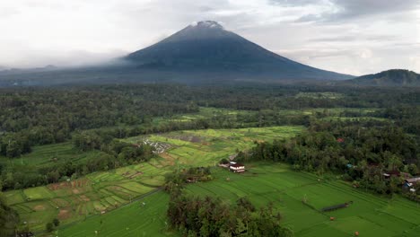 Spektakuläre-Luftaufnahme-Des-Mount-Agung-Mit-Bewölktem-Gipfel-Und-üppigen-Grünen-Reisfeldern,-Bali,-Indonesien