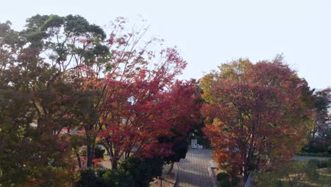 Herbstbäume-Im-Park-Mit-Stadtbild-In-Der-Ferne,-Warmes-Licht