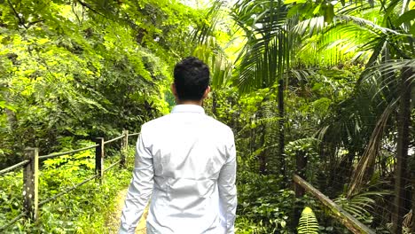 Male-Traveler-Walking-In-Windsor-Nature-Park-In-Singapore---Tracking-Shot