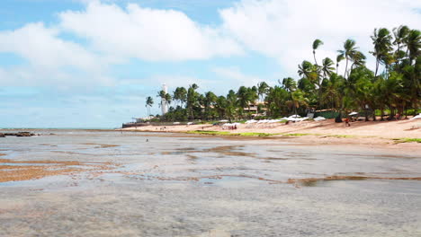 Luftaufnahme-Des-Strandes-Praia-Do-Forte,-Des-Korallenriffs,-Des-Palmenbereichs-Und-Einiger-Leute,-Die-Sich-Im-Wasser-Vergnügen,-Praia-Do-Forte,-Bahia,-Brasilien