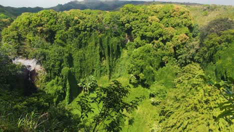 Pan-left-shot-of-valley-near-Falls-of-Makahiku,-birds-flying,-Hawaii,-USA