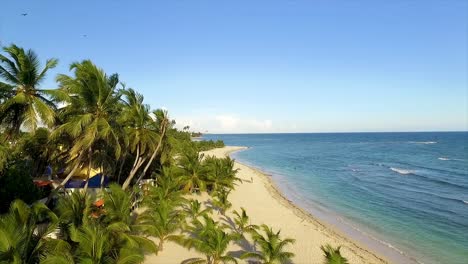 Miami-Beach-Mit-Palmen,-Klarem-Blauen-Himmel-Und-Ruhigem-Ozeanwasser,-Luftaufnahme,-In-Amerika