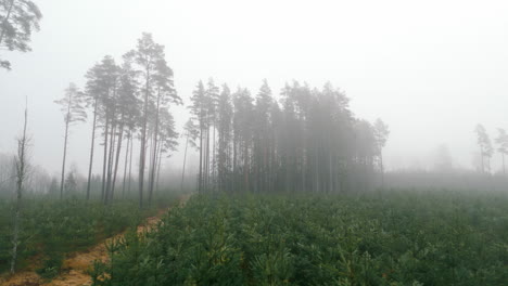 Valdemārpils-of-Latvia-in-the-month-of-February