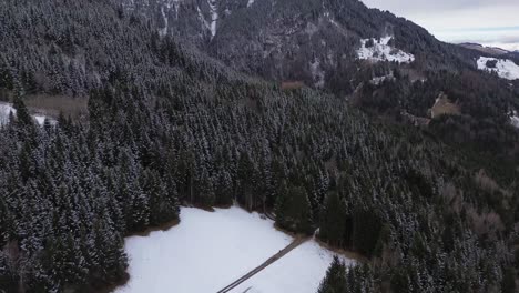 Aerial-4k-shot-of-small-house-in-the-mountains-in-austria