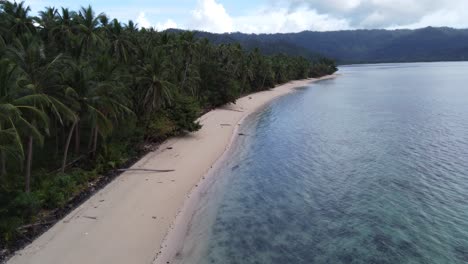Playa-Blanca-Tropical-De-Port-Barton-Con-Palmeras,-Palawan,-Filipinas