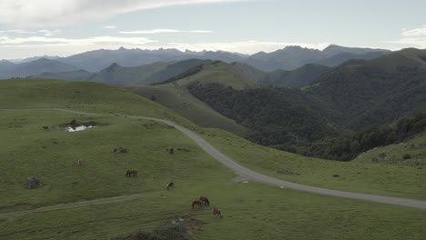 Wild-horses-grazing-in-green-fields-of-Col-Inharpu-with-mountain-range-in-background,-Basque-Pyrenees,-France