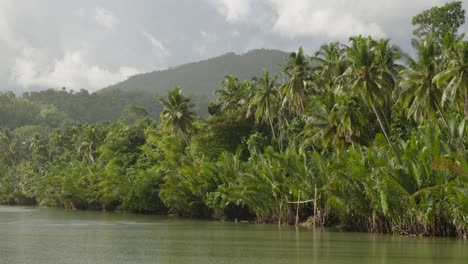 Lush-tropical-riverside-with-palm-trees-along-the-Loboc-River,-Philippines,-on-a-sunny-day