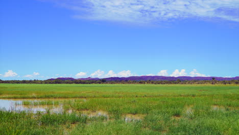 Interior-Australia-Lapso-De-Tiempo-Nube-Movimiento-Verde-Hierba-Arbusto-Estación-Húmeda-Kimberley-Wa-Occidental-Aus-Territorio-Del-Norte-Uluru-Lejano-Downs-Debajo-Broome-Darwin-Rocas-Rojas-Tierra-Aborigen-Cielo-Azul-Estático