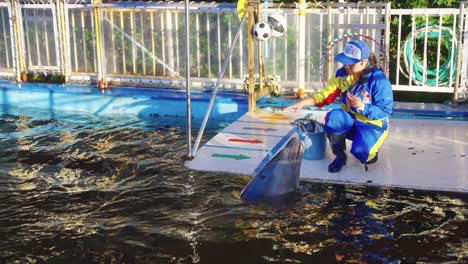 Entrenador-De-Delfines-Enseñando-Trucos-A-Los-Delfines-Y-Alimentándolos-Con-Peces-Como-Recompensa.