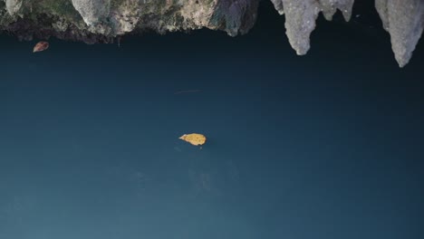 Einzelnes-Gelbes-Blatt-Schwimmt-Auf-Ruhigem-Wasser,-Klippenränder-Rahmen-Die-Aufnahme-Ein,-Philippinen,-Ruhige-Szene