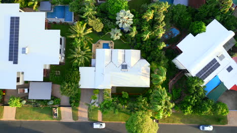 Aerial-drone-of-Tropical-Home-With-Pool-and-Large-Palm-Trees,-Top-Down-Descend-as-Sunlight-Spreads-Golden-Rays-on-Roof