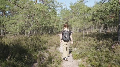 A-woman-wanders-through-a-forest-and-heathland,-with-the-camera-following-her