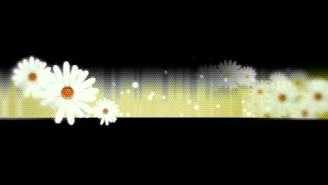Animierter-Bewegter-Bewegungshintergrund-Mit-Bewegten-Blumen,-Rosenblättern,-Weißen-Chrysanthemen