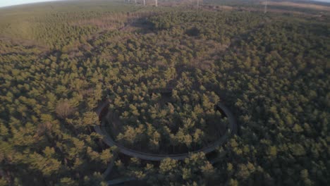 Endless-forest-landscape-with-hidden-round-race-track-for-bicycles,-aerial-view