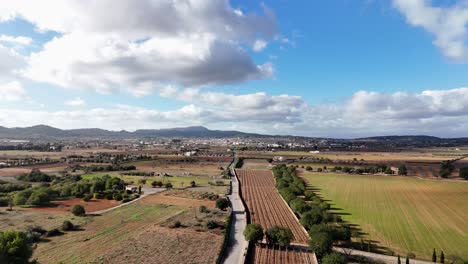 La-Exuberante-Campiña-De-Mallorca-Con-Granjas-Y-Un-Cielo-Despejado,-Luz-Natural-Y-Vista-Aérea.