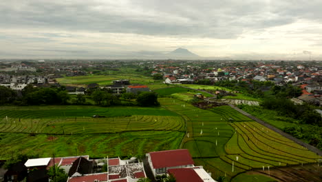 Reisfelder-In-Der-Balinesischen-Landschaft,-Indonesien.-Luftaufnahme-Nach-Vorn