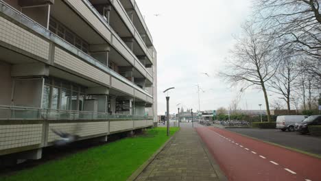 Vögel-Fliegen-Weg-Vom-Mehrfamilienhaus-Am-Hafen-In-Amsterdam-Noord-Vogelbuurt