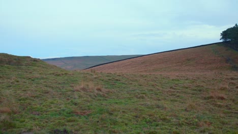 Lush-greenery-at-Lyme-Park-with-rolling-hills-under-overcast-skies,-Greater-Manchester