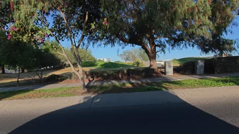 “A-shadow-that-travels-across-a-serene-urban-park-with-lush-greenery-under-a-clear-sky,-a-tranquil-escape-amidst-distant-city-buildings