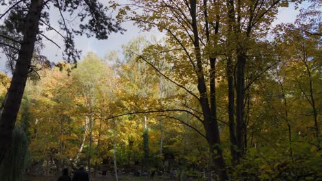 A-view-of-Srebrzysko-Cemetery-in-Gdańsk,-Poland