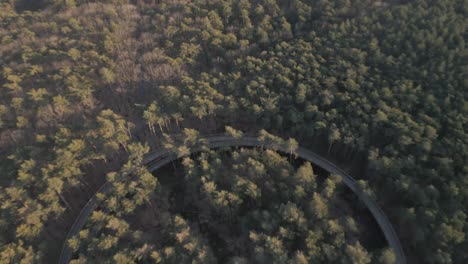 Ikonischer-Wander--Oder-Radweg-In-Waldlandschaft,-Luftaufnahme