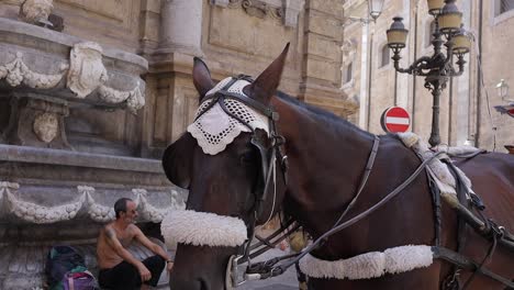 Primer-Plano-Del-Caballo-En-Las-Calles-De-Palermo.