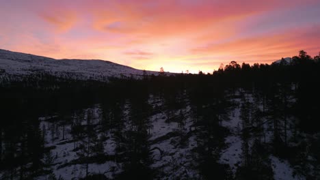 Vibrantes-Tonos-De-Puesta-De-Sol-Sobre-El-Bosque-Nevado-De-Noruega,-Serena-Noche-De-Invierno