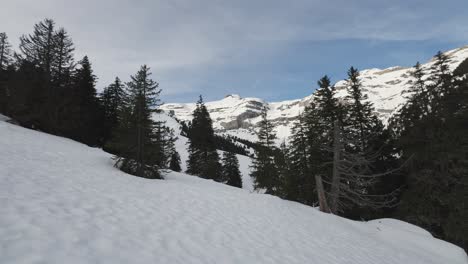 Zauberhafte-Winterbergkulisse