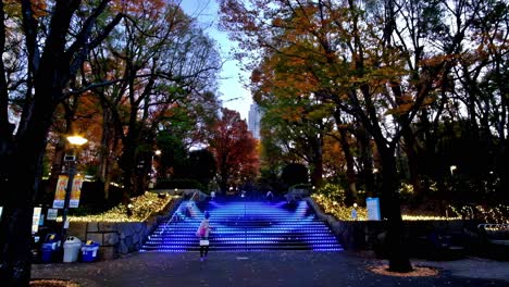 Una-Característica-Atractiva-Del-Parque-Shinjuku-Chuo-En-Tokio-Son-Los-Escalones-Iluminados-Con-Luces-LED-En-Cada-Extremo,-Que-Brindan-Un-Entretenido-Espectáculo-De-Luces-Que-Comienza-Al-Anochecer-Todos-Los-Días.