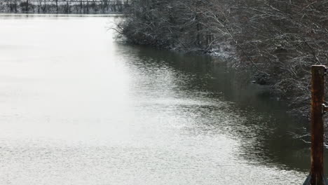 Árboles-Desnudos-Y-Estanque,-Lago-Sequoyah-En-Arkansas,-EE.UU.-Durante-Las-Nevadas---Disparo-De-Drones