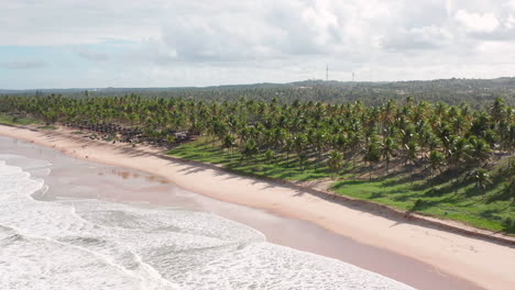 Aerial-view-of-the-Imbassai-beach-and-a-large-green-area-of-palm-trees,-Imbassai,-Bahia,-Brazil