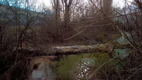 Explore-the-mesmerizing-beauty-of-the-green-river-and-its-unique-water-crossing-in-this-captivating-video,-immersing-you-in-nature's-tranquil-embrace