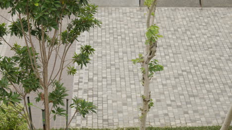 Calm-breeze-wafts-through-the-empty-streets-of-Hong-Kong