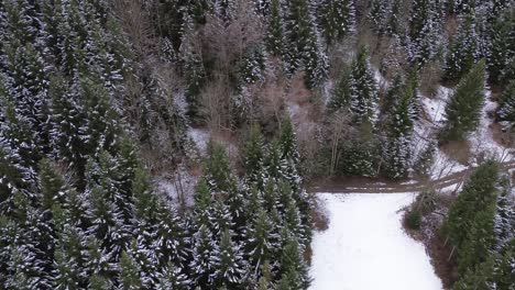 Aerial-4k-shot-of-winter-forest-road