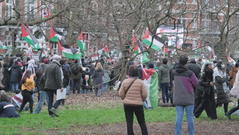 Manifestantes-Con-Banderas-Y-Pancartas-De-Palestina-Se-Reúnen-En-El-Parque-De-Londres